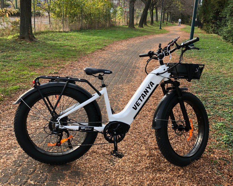 What is UL Certification and Why is it Important?——A Guide to UL-Certified E-Bikes