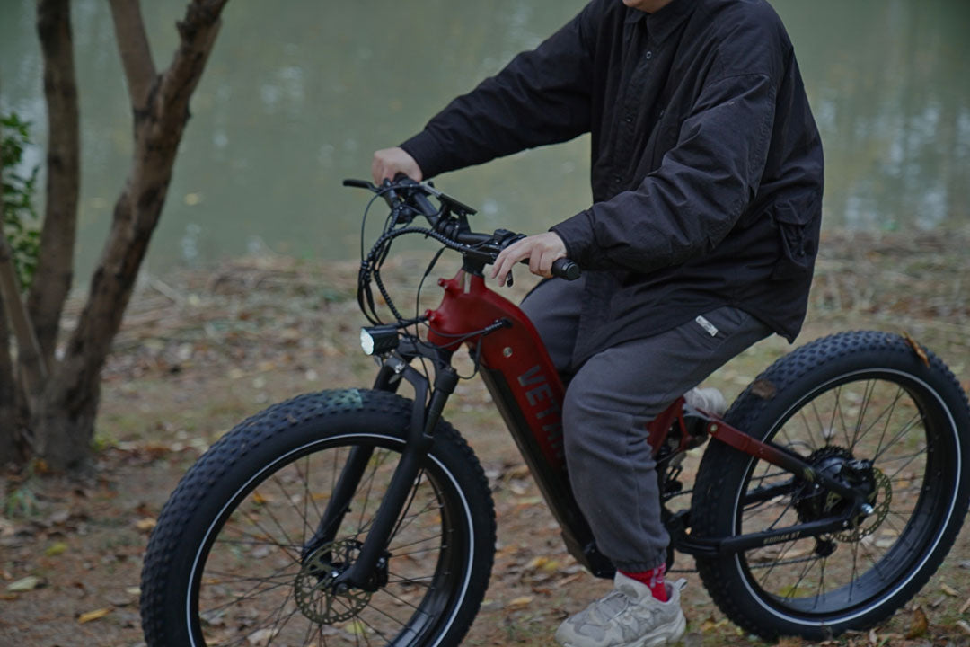 Electric Mountain Bikes vs. Regular Bikes: Which One Elevate Your Ride?
