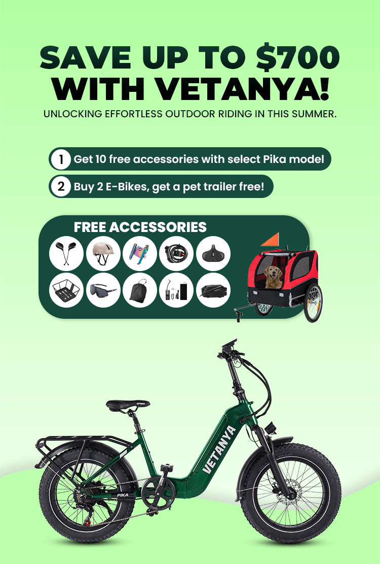 Vetanya Electric Bike| Cargo |Foldable | Fat Tires Electric Bike