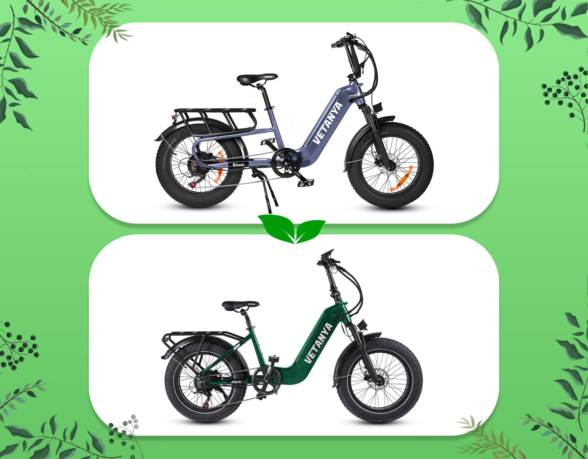 Pika + Bison Ebike Bundle