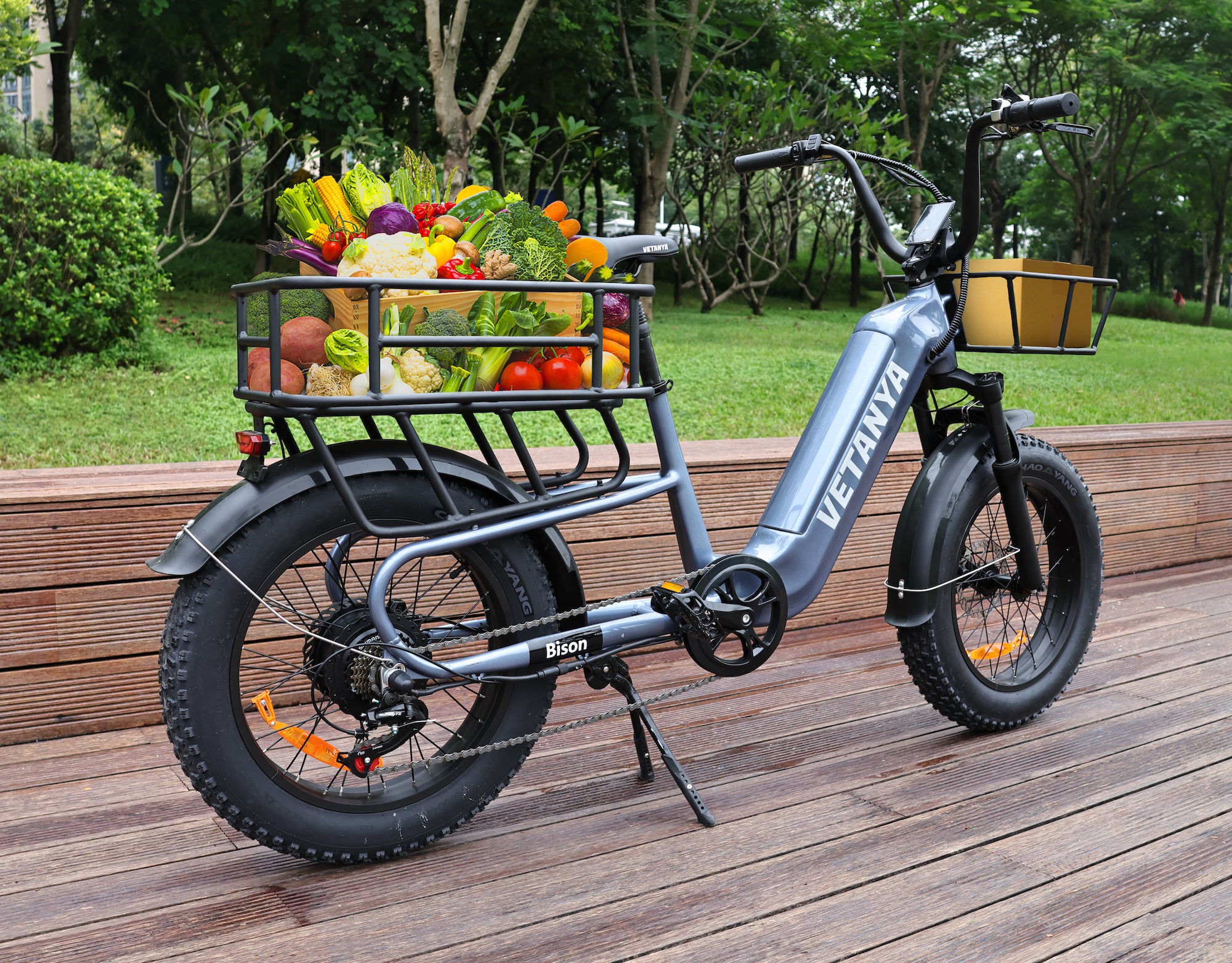 Bison Cargo E-Bike