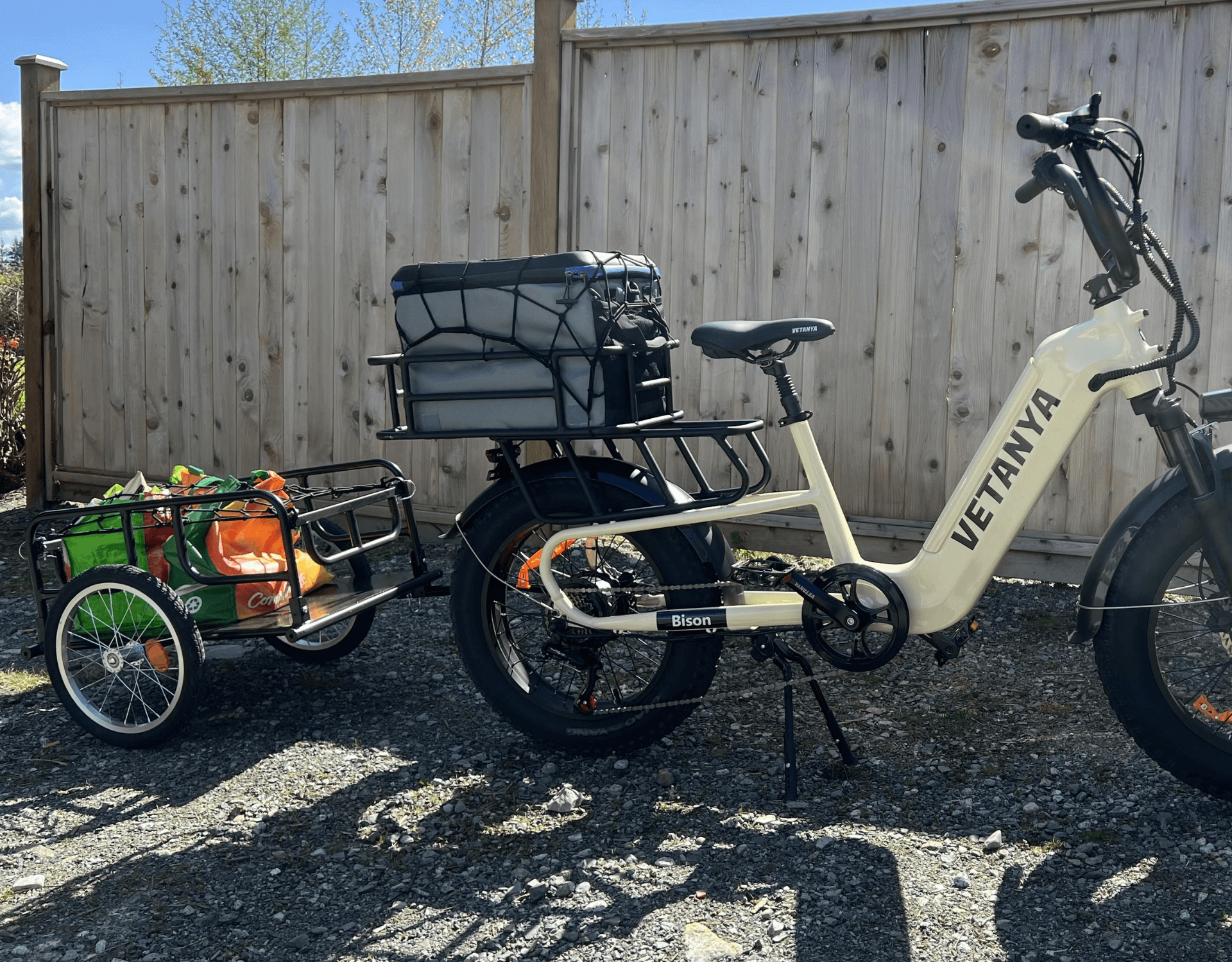 Bison Cargo E-Bike